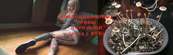 соль ск Заволжск