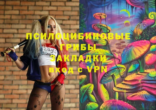 молекула духа Заволжье