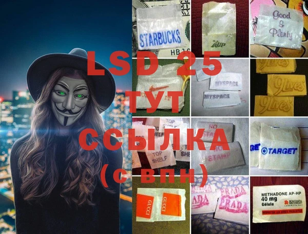 молекула духа Заволжье