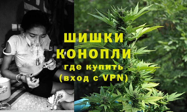 молекула духа Заволжье