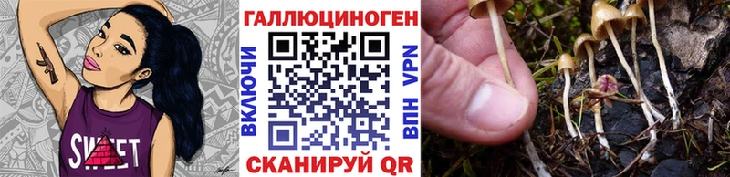 Псилоцибиновые грибы GOLDEN TEACHER  mega зеркало  Сасово 